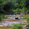 small creek near Trojan