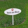 der Bodensee als Blumenbeet