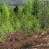 Impressionen auf dem Weg V