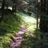 ... following the path of St. Olaf to Trondheim