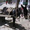 Gütertransport